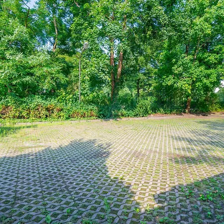 Hotel Waldhotel -self Check-in- 3*